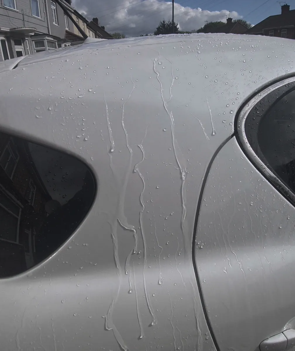 Hydrophobic water beading on freshly protected white paintwork